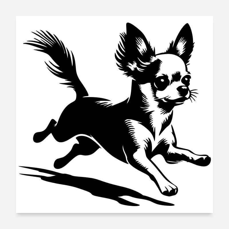 Chihuahua Poster 60x60 cm