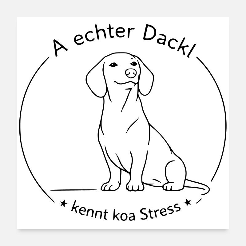 dackel kennt koa stress Poster 60x60 cm