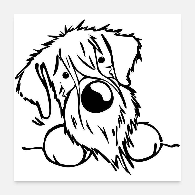 Neugieriger Schnauzer - Poster 60x60 cm - Weiß