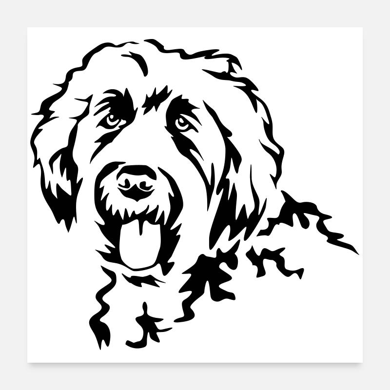 Labradoodle head Poster 24" x 24" (60x60 cm)