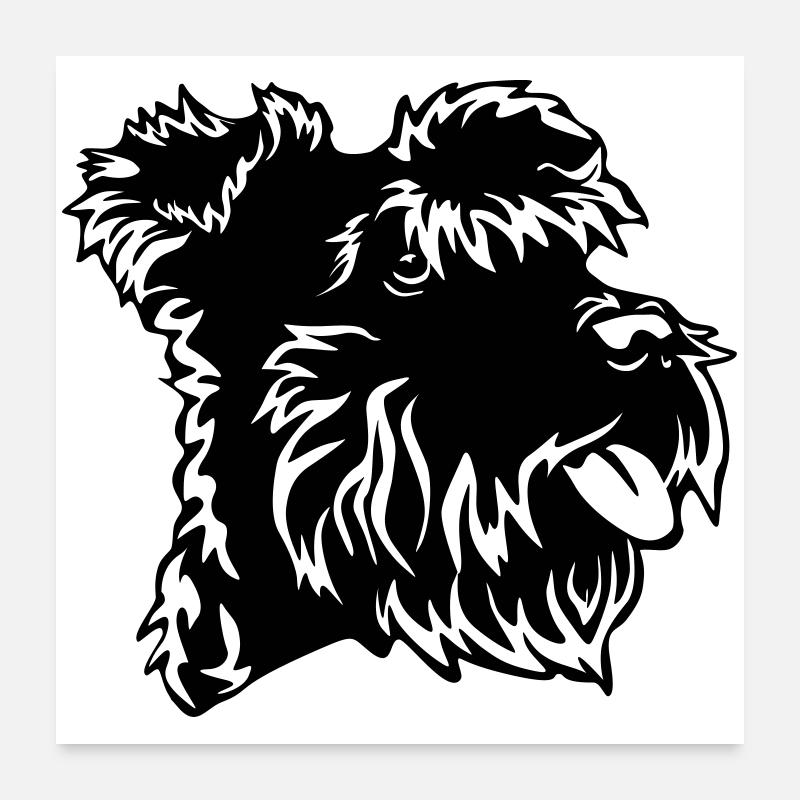 Tête de Schnauzer miniature Poster 60 x 60 cm