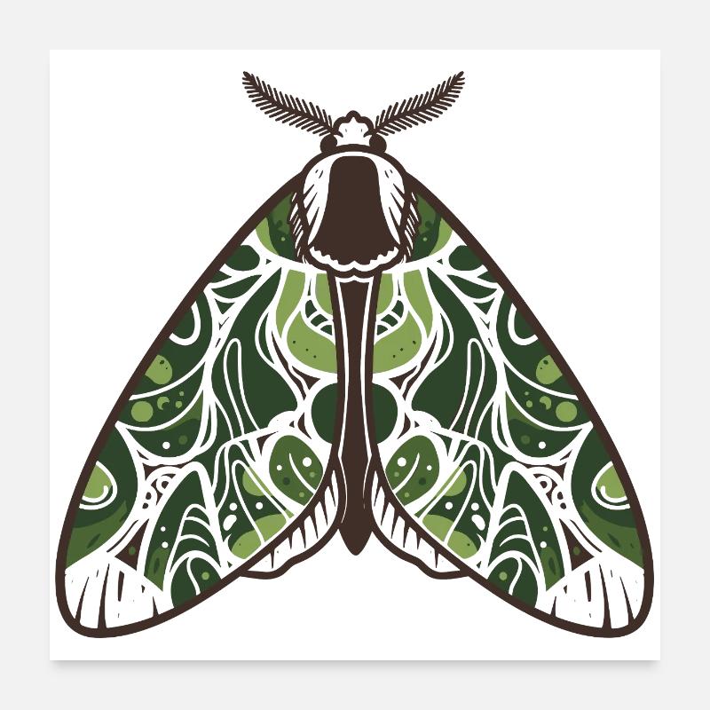 Verdant Leafwing Moth Poster 24" x 24" (60x60 cm)
