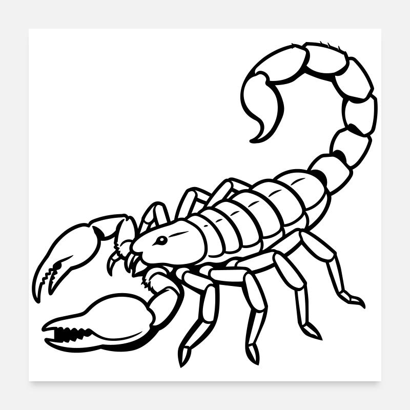Skorpion-Sternzeichen Poster 60x60 cm