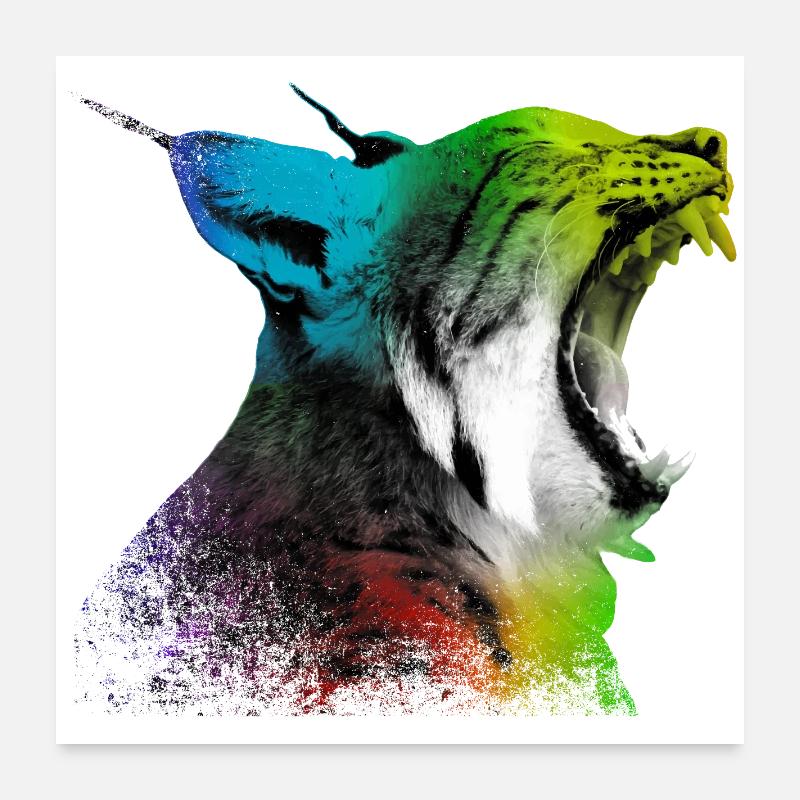 Gähnender Luchs - Poster 60x60 cm - Weiß