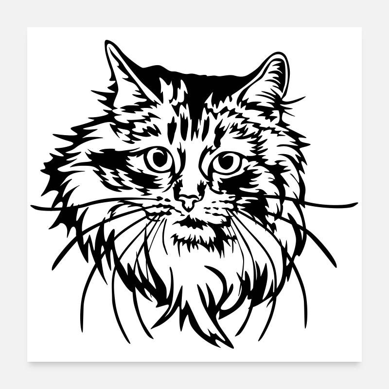 Norwegische Waldkatze Poster 60x60 cm