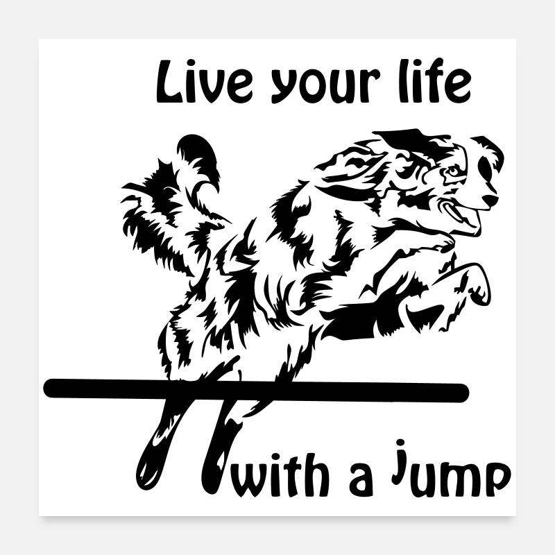 Agility Australian Shepherd Aussie Poster 60 x 60 cm