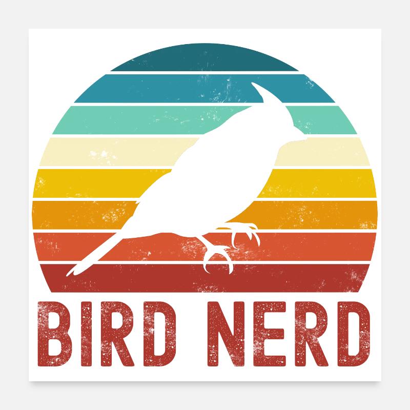 Bird Birds Poster 24" x 24" (60x60 cm)