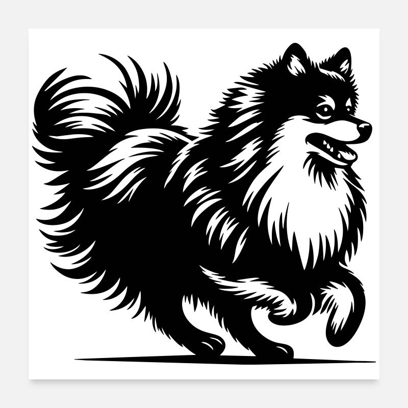 Spitz Poster 60x60 cm
