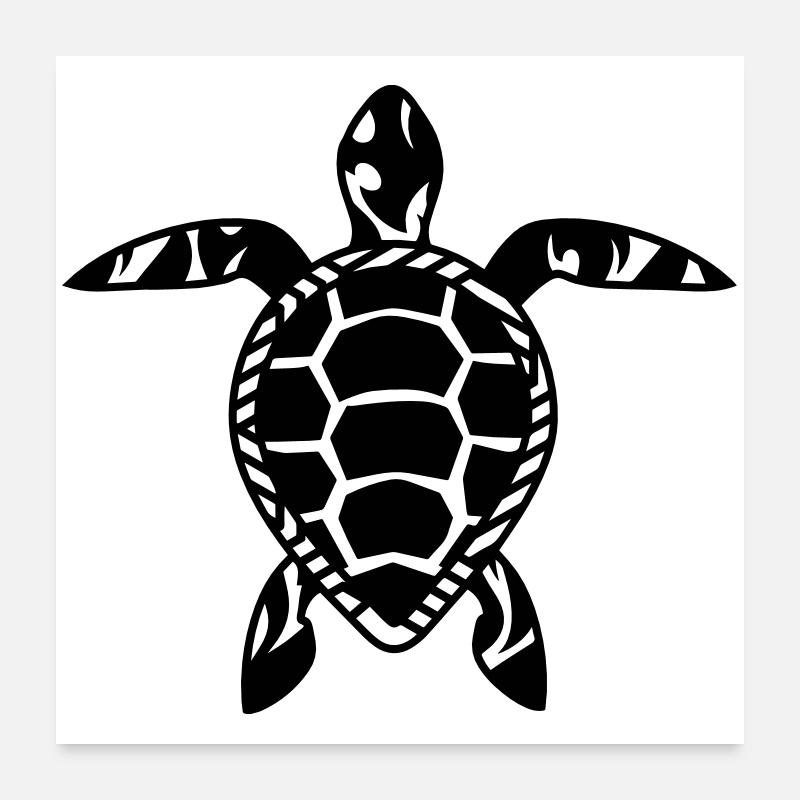 Une tortue de mer Poster 60 x 60 cm