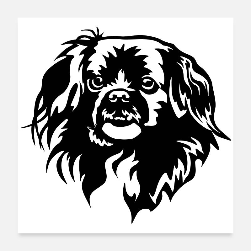 Tibet Spaniel Kopf Poster 60x60 cm
