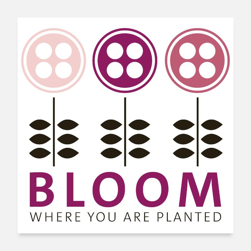 Bloom - Poster 60x60 cm - Weiß
