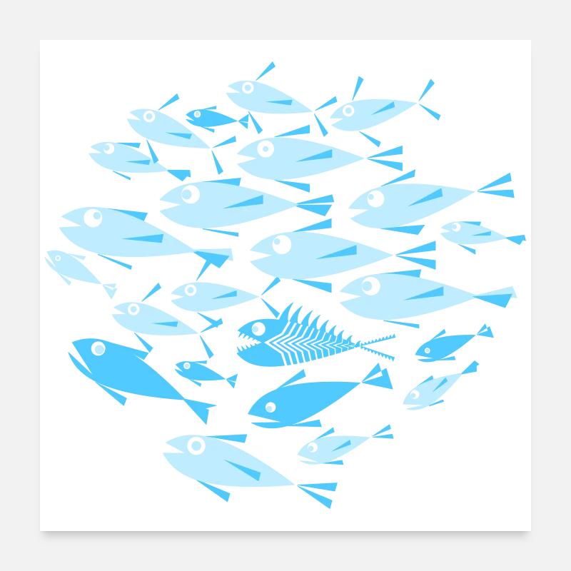 Fisch Cyan Poster 60x60 cm