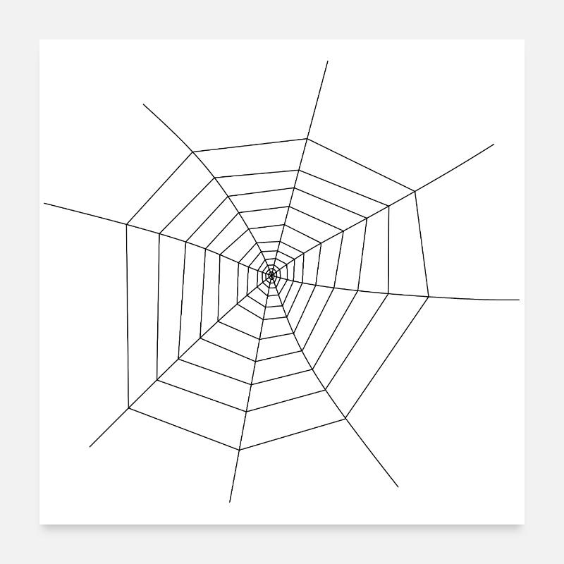 Spinnennetz - Poster 60x60 cm - Weiß