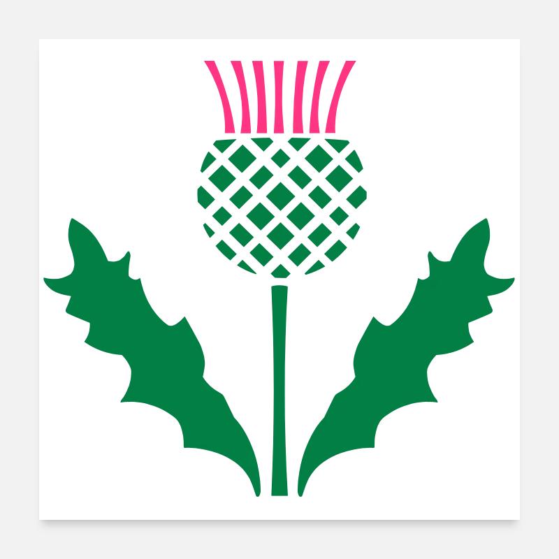Scottish Thistle Poster 24" x 24" (60x60 cm)