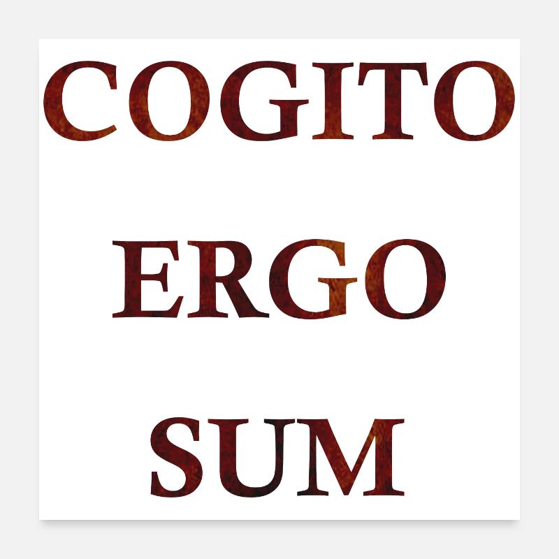 Cogito Ergo Sum Poster 60 x 60 cm
