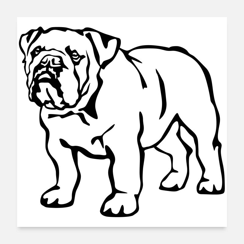 Bouledogue anglais Poster 60 x 60 cm