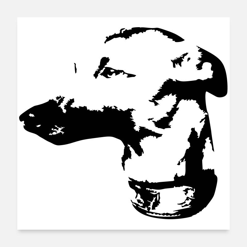 Whippet head Poster 24" x 24" (60x60 cm)
