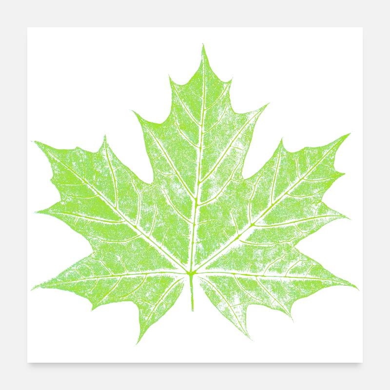 Feuille d’érable - VERT - Naturel / Design forestier Poster 60 x 60 cm