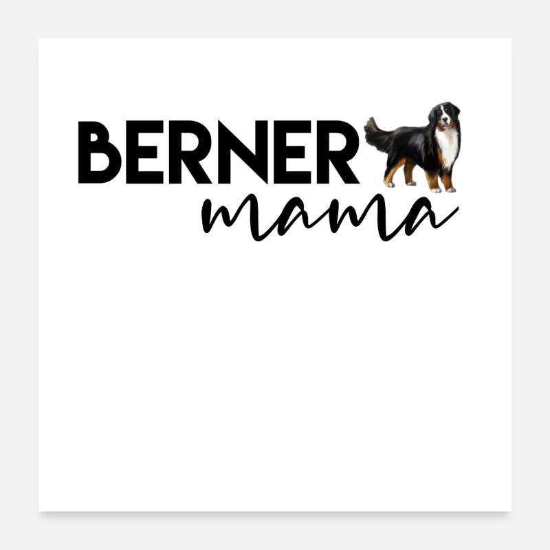 Bouvier bernois Poster 60 x 60 cm