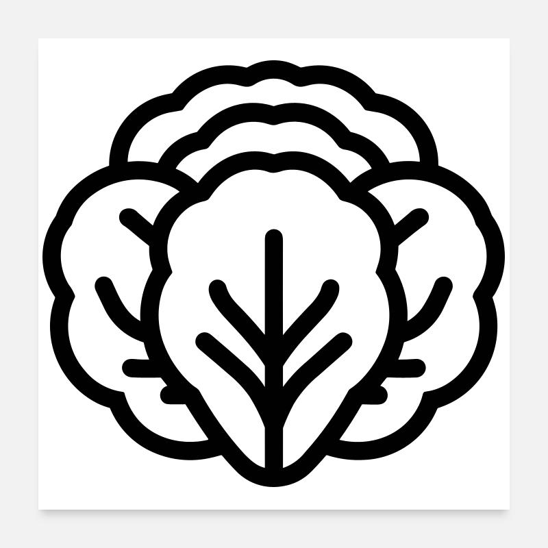 cabbage Poster 24" x 24" (60x60 cm)