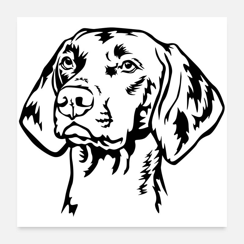 Magyar Vizsla head Poster 24" x 24" (60x60 cm)