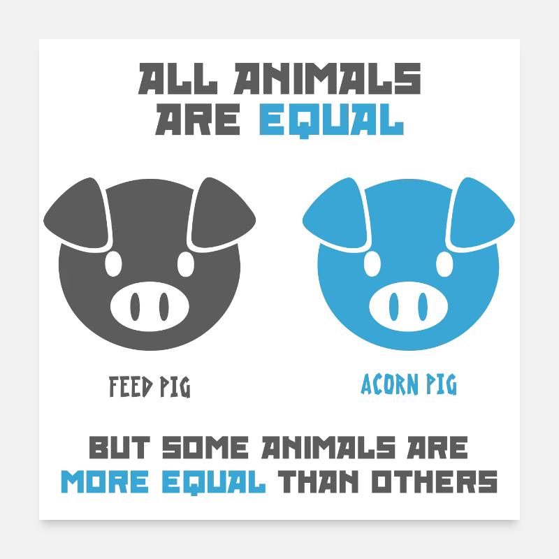 Futterschwein, Eichelschwein Poster 60x60 cm