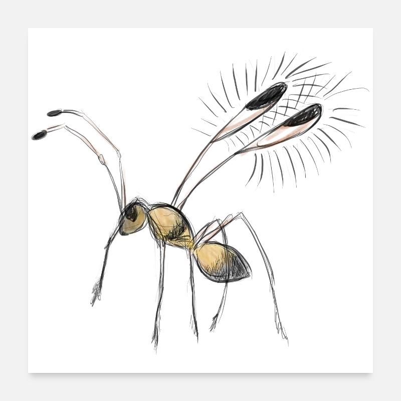 Dessin de minuscule mouche Poster 60 x 60 cm