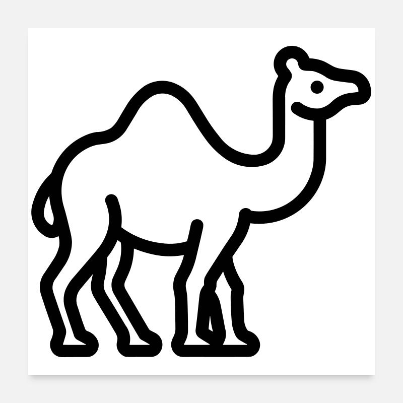 camel Poster 24" x 24" (60x60 cm)