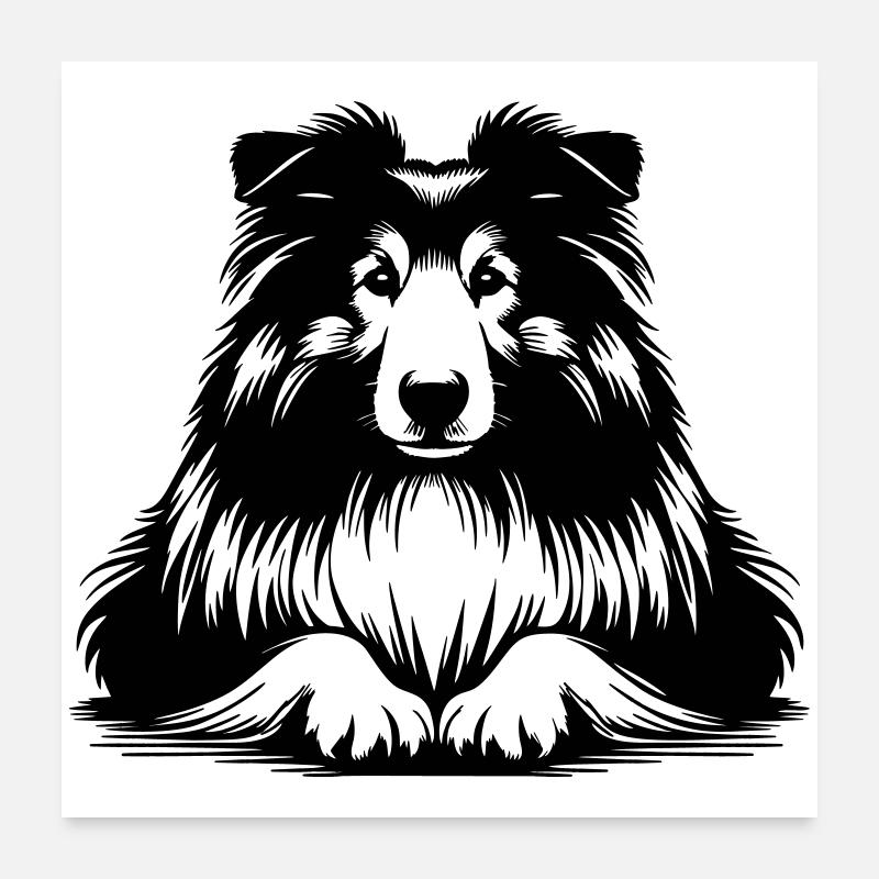 Colley Poster 60 x 60 cm