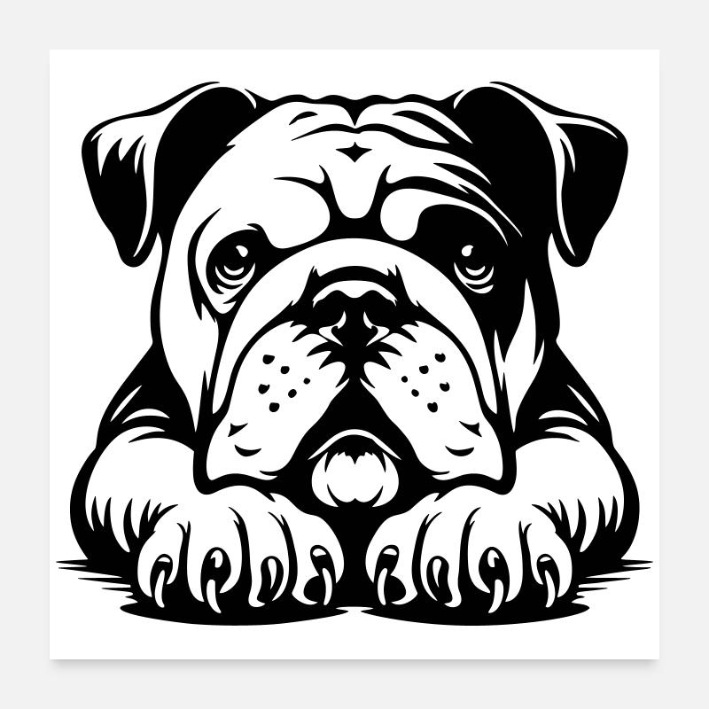Tête de bouledogue anglais avec pattes Poster 60 x 60 cm
