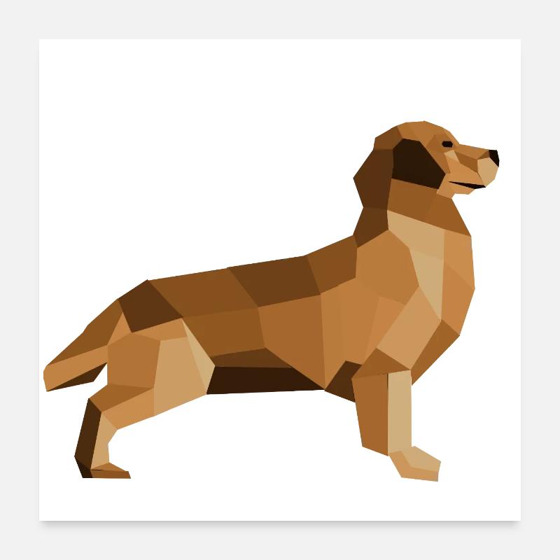 Golden Retriever Low Poly – treu und modern - Poster 60x60 cm - Weiß