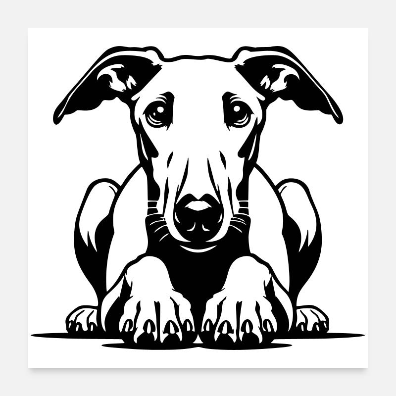 Whippet Kopf mit Pfoten Poster 60x60 cm