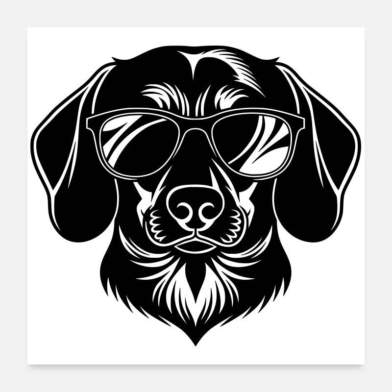 Tête de teckel avec des lunettes de soleil Poster 60 x 60 cm