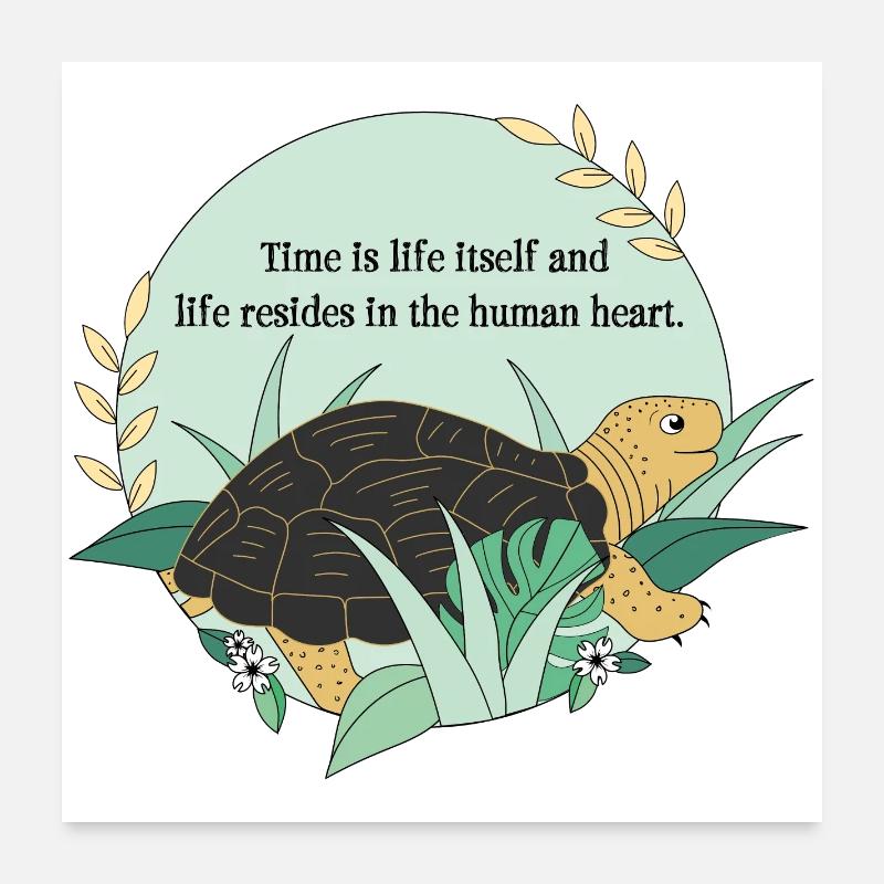 Tortue Cassiopée - Poster 60 x 60 cm - blanc