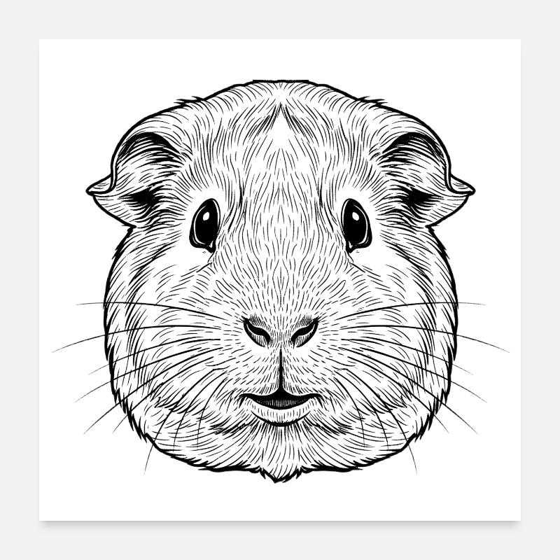 cobaye Poster 60 x 60 cm