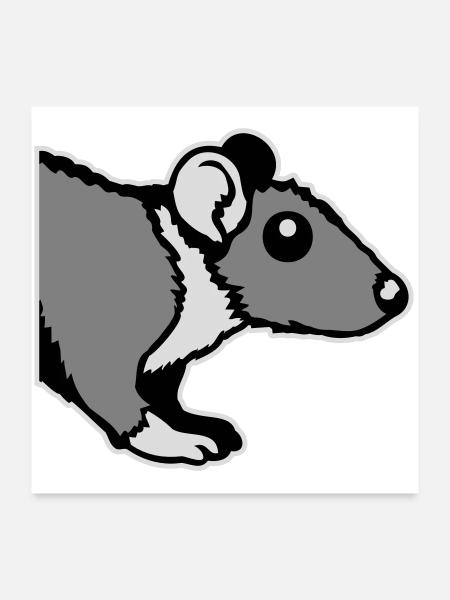 Ratte Vorderseite Halb Neugierig Lustig Nagetier - Poster 60x60 cm - Weiß - Vorne