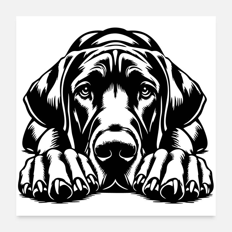 Deutsche Dogge Poster 60x60 cm