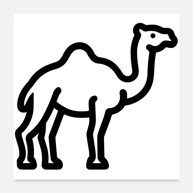 Kamel Poster 60x60 cm