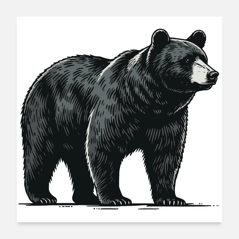 Baribal Poster 60 x 60 cm