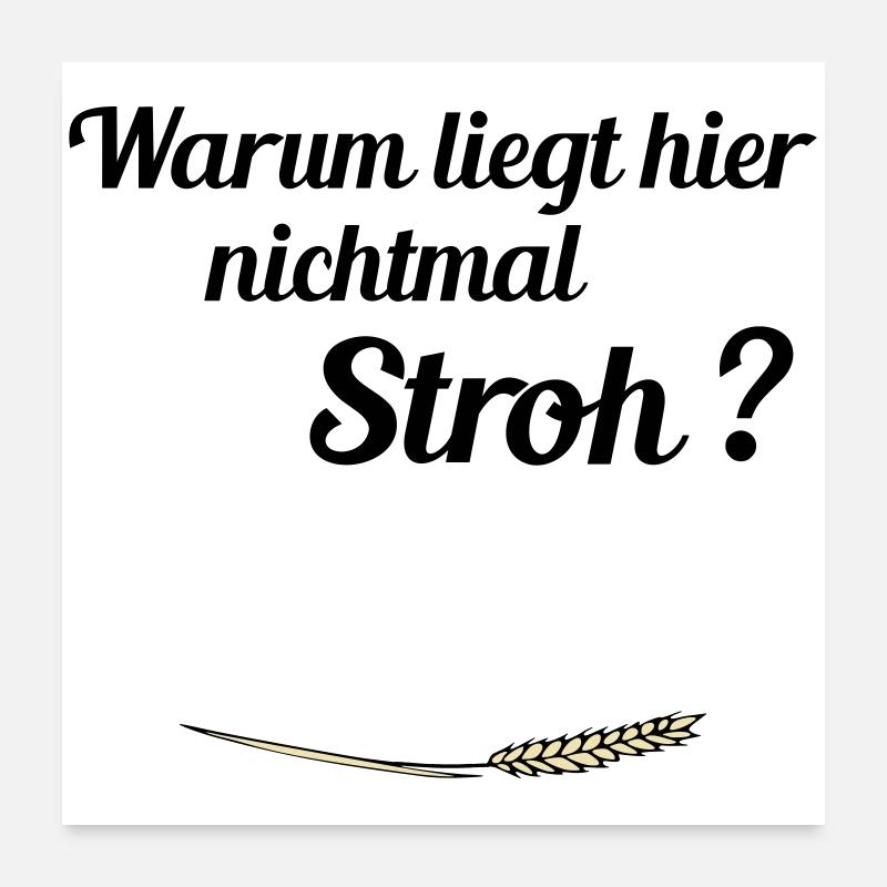 kein Stroh Poster 60x60 cm