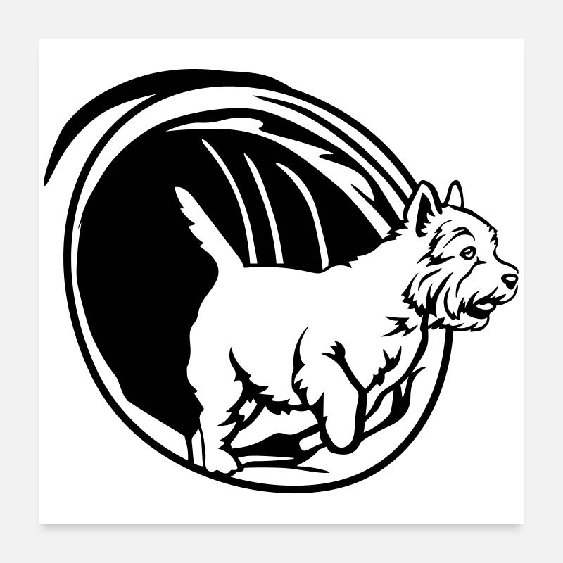 West Highland Terrier Poster 24" x 24" (60x60 cm)