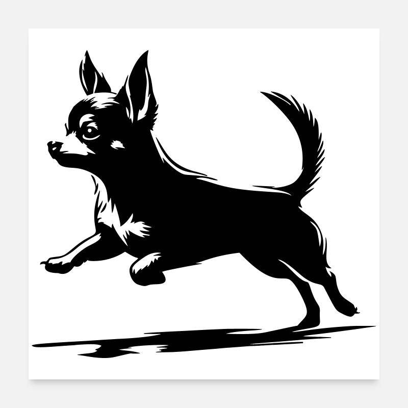 Chihuahua Poster 60 x 60 cm