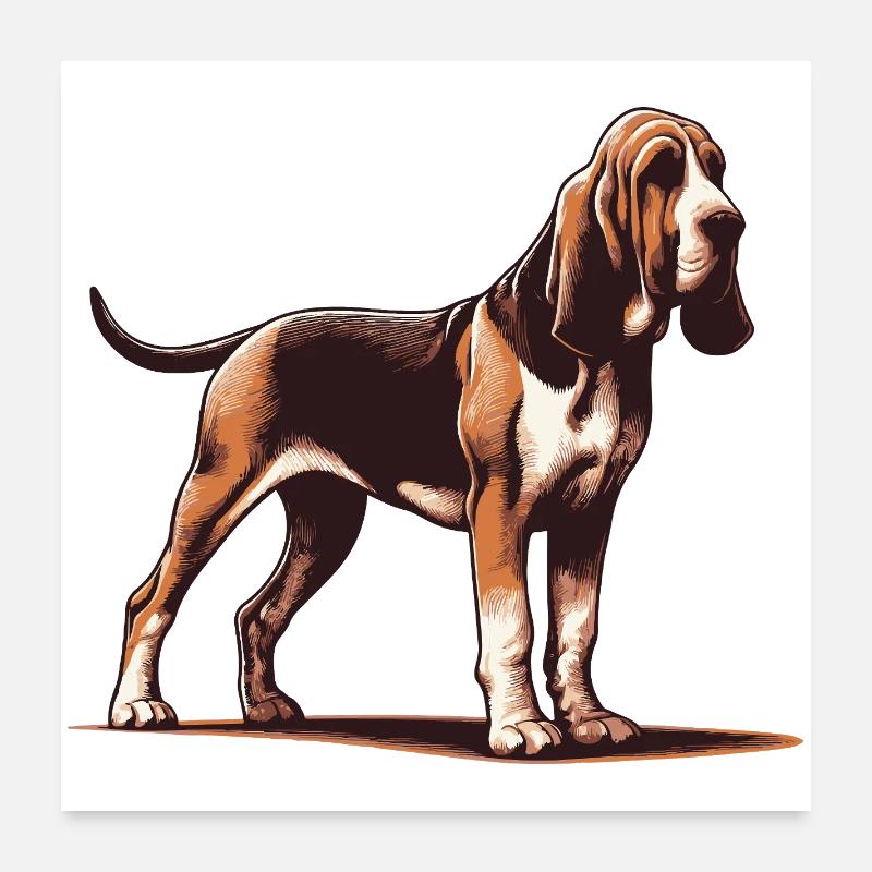 Limier Poster 60 x 60 cm