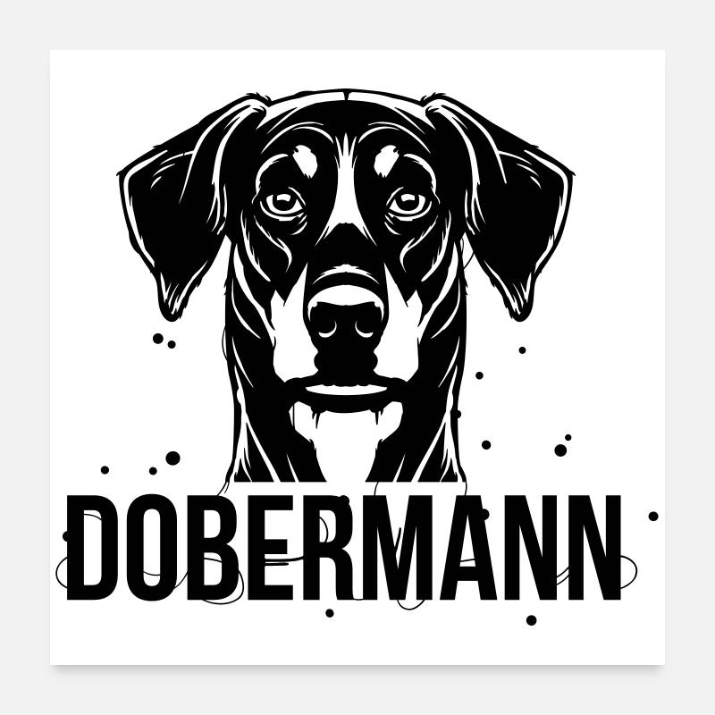 Dobermann Poster 60 x 60 cm