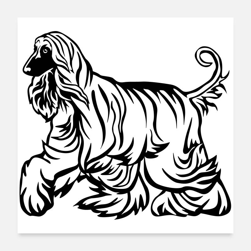 Afghane Poster 60x60 cm