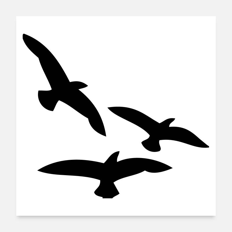 Vögel - Poster 60x60 cm - Weiß