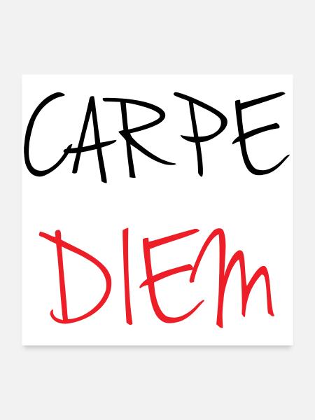 carpe_diem_nhy_5 - Poster 24" x 24" (60x60 cm) - white - Front