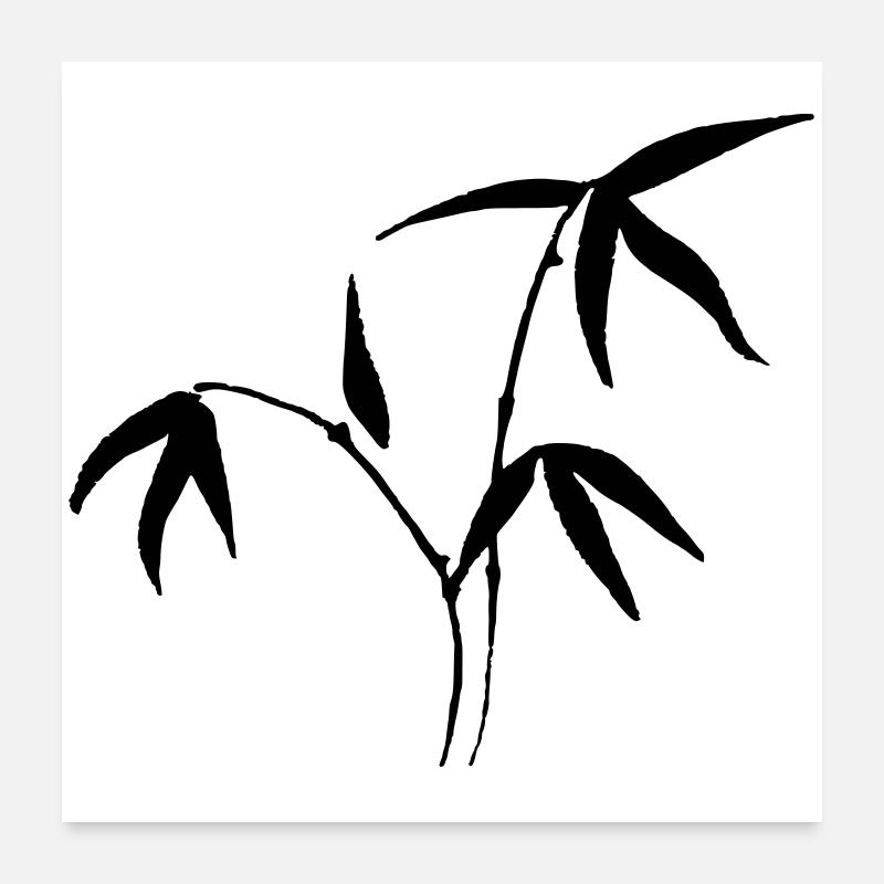 Bambus Poster 60x60 cm