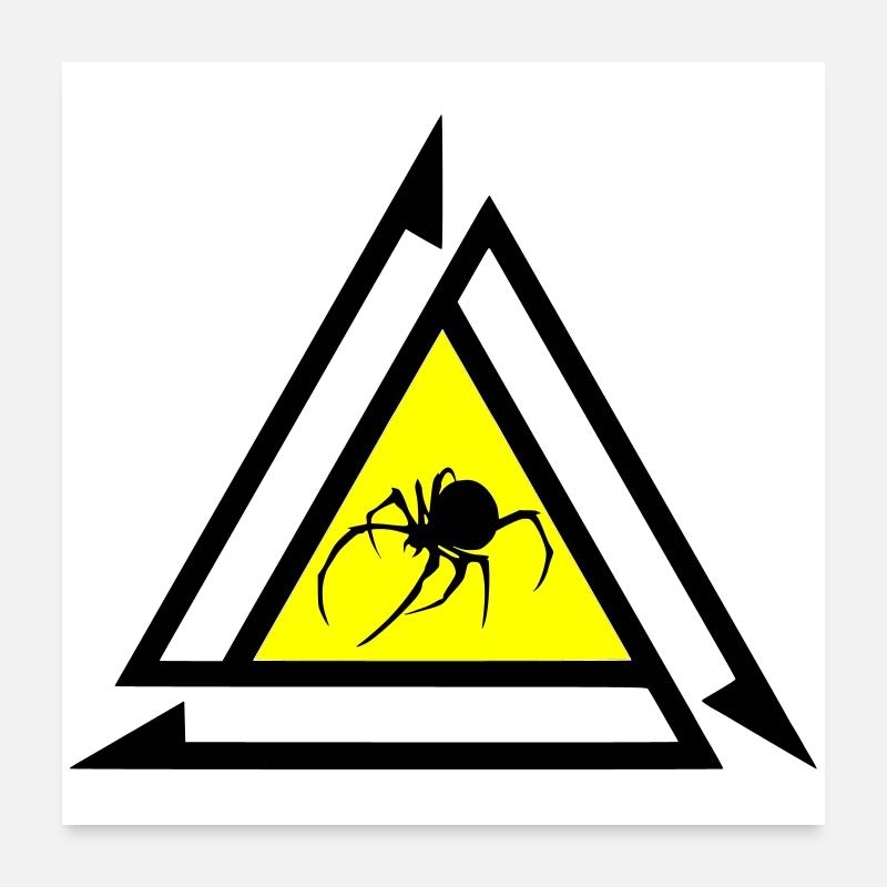 Araignée Poster 60 x 60 cm