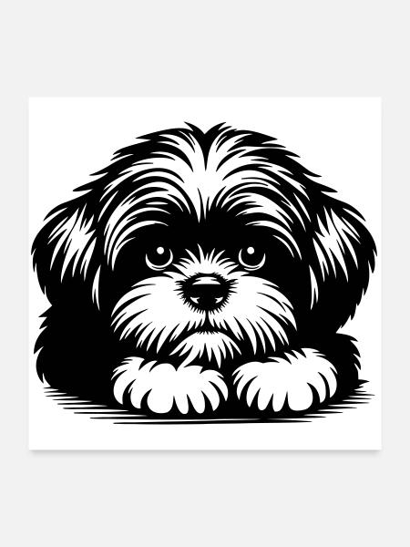 Tête de Shih Tzu avec pattes - Poster 60 x 60 cm - blanc - Devant